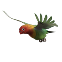 periquito animal aislado 3d png