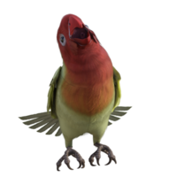 periquito animal isolado 3d png