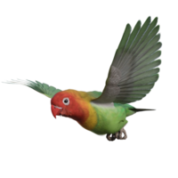 periquito animal aislado 3d png