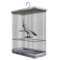 birdcage isolated 3d png