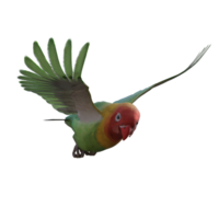 pappagallino verde africano animale isolato 3d png