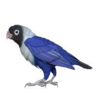 periquito animal isolado 3d png