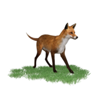 zorro animal aislado 3d png