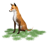 Fuchs Tier isoliert 3d png