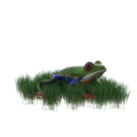 rã animal isolado 3d png