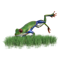 Frosch Tier isoliert 3d png