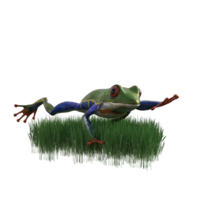 frog animal isolated 3d png