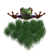 frog animal isolated 3d png