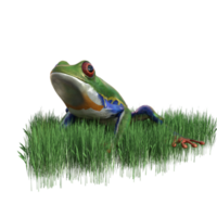 frog animal isolated 3d png