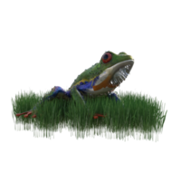 frog animal isolated 3d png