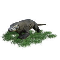 Komodo animal isolated 3d png