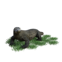 Komodo animal isolé 3d png