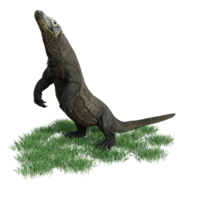 Komodo animal isolado 3d png