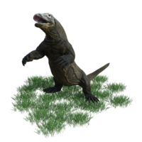 komodo animale isolato 3d png