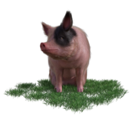 Pig in glass png