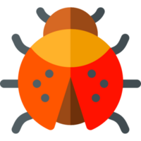 coccinella illustrazione design png