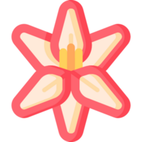 flower illustration design png