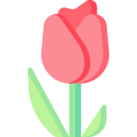 flower illustration design png