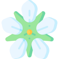 flower illustration design png