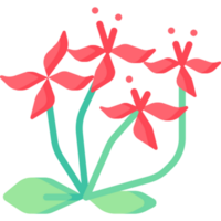 blomma illustration design png