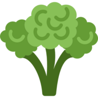 disegno dell'illustrazione dei broccoli png