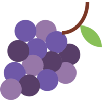 grapes illustration design png