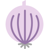 diseño de ilustración de cebolla png