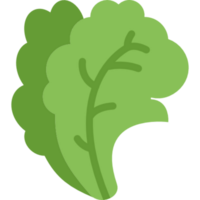 salad illustration design png