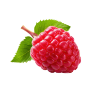 Ripe red raspberry with leaf, created with Generative AI png