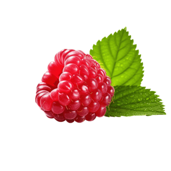 maduro rojo frambuesa con hoja, creado con generativo ai png