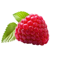 Ripe red raspberry with leaf, created with Generative AI png