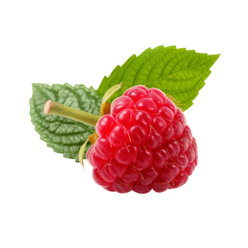maduro rojo frambuesa con hoja, creado con generativo ai png