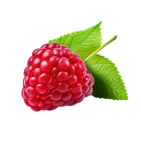 Ripe red raspberry with leaf, created with Generative AI png