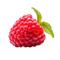 Ripe red raspberry with leaf, created with Generative AI png