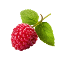 Ripe red raspberry with leaf, created with Generative AI png