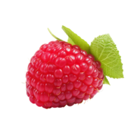 Ripe red raspberry with leaf, created with Generative AI png