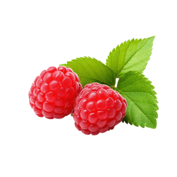 maturo rosso lampone con foglia, creato con generativo ai png