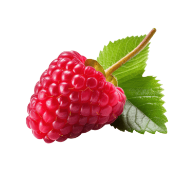 maduro rojo frambuesa con hoja, creado con generativo ai png