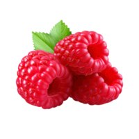Ripe red raspberry with leaf, created with png