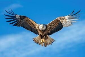 ai generado un águila pájaro extensión sus alas en movimiento altísimo encima el azul cielo mira majestuoso. foto