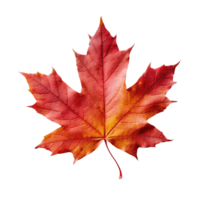 ai generated maple leaf on transparent background png