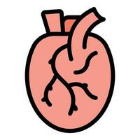 Human heart icon vector flat