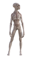 Grey alien on transparent background, 3d render png