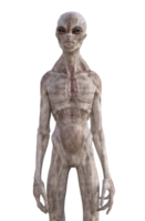 Grey alien on transparent background, 3d render png