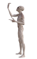 cinzento estrangeiro em transparente fundo, 3d render png