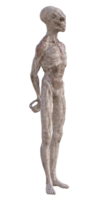 cinzento estrangeiro em transparente fundo, 3d render png