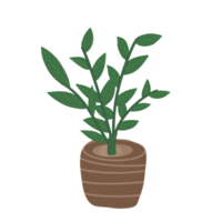 Green plants in pots png