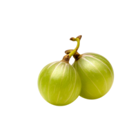 Fresh indian gooseberry isolated on transparent background png