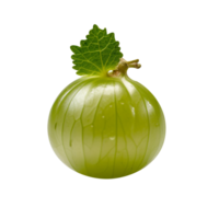 Fresh indian gooseberry isolated on transparent background png