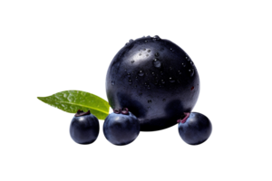 Fresh bunch acai berries isolated on transparent background png